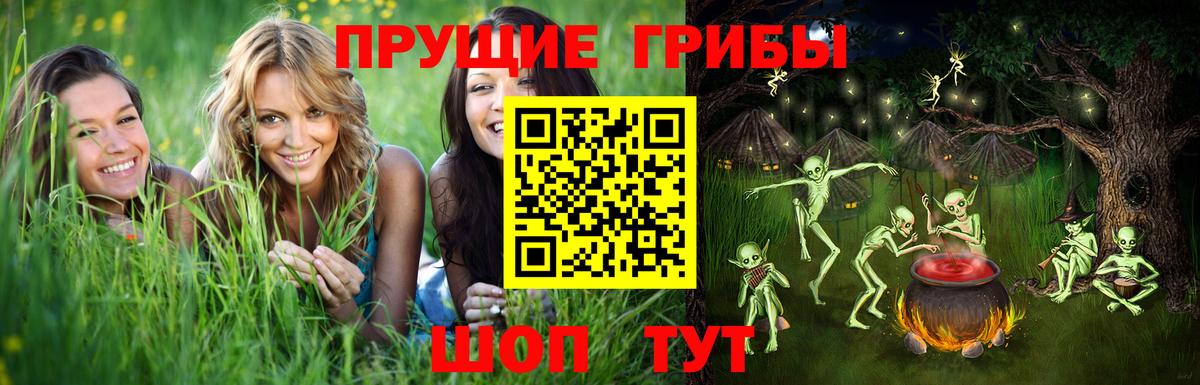 Галлюциногенные грибы Cubensis Семилуки